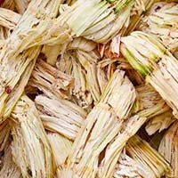 sugarcane bagasse