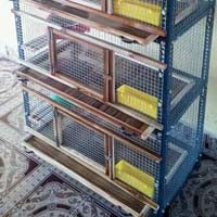 4 Partitions Pigeon Cage