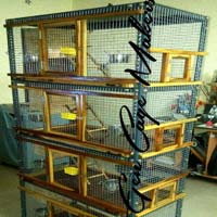 Cockatiel Cages