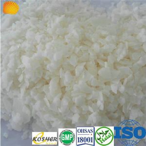 Hydrogenated Oil Hydrogenated Oil