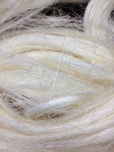 Sisal Fiber