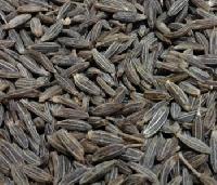 Black Cumin Seeds