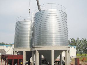 Wheat Storage Silo