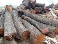 babool wood