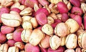 Kola Nuts Kola Nuts