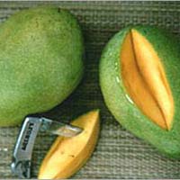 Fresh Fazli Mango