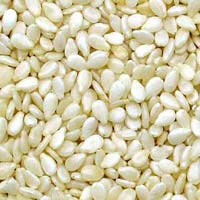 Hulled White Sesame Seeds