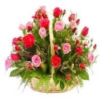 Rose Flowers Basket