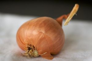 Shallot