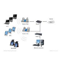 Networking Server System