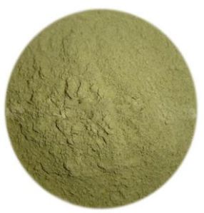 Ginkgo Biloba Powder