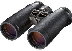 Binocular