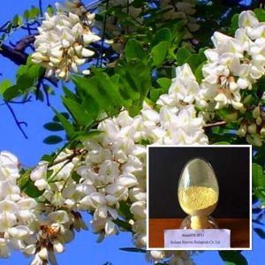 Rutin, Form : powder