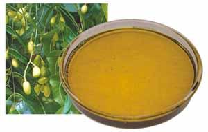 Neem Seed Oil Co2 Extract Oil