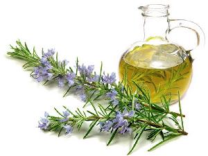 Rosemary leaf oil (Rosmarinus Officinalis)