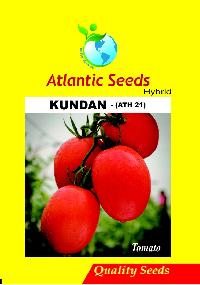 Kundan Hybrid Tomato Seeds