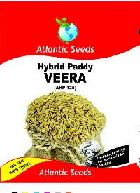 Veera Hybrid Paddy Seeds