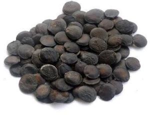 5-htp Griffonia Seed Extract (USP39 Complied)