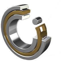 Cylindrical Roller Bearing