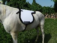 VE-SP-013 Horse Saddle Pad