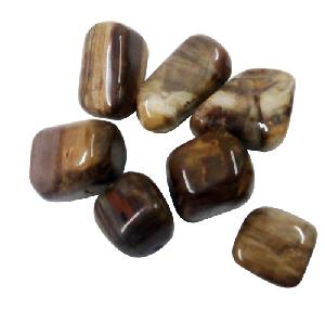 Natural Petrified Wood Gemstone Tumble/ Pebbles
