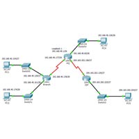 Switching And Routing Services