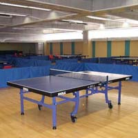 Table Tennis Wooden Floorings