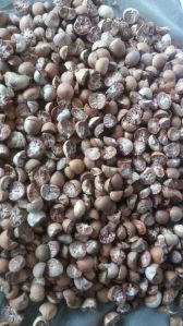 betel nuts