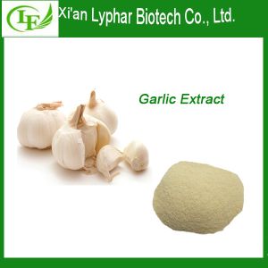 Factory Provide Top Quality Garlic Extract Allicin Powder