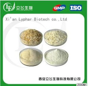 Pharmaceutical Excipients