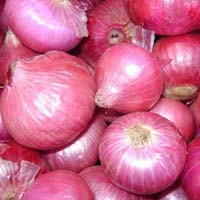 fresh red onion