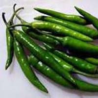 fresh green chilli