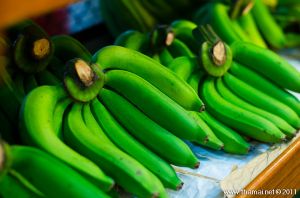 ORGANIC Premium Grade Fresh Green Cavendish Banana