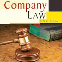 Company Law Consultant