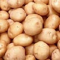 Bulky fresh potato