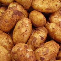 Fresh kufri badshah potato