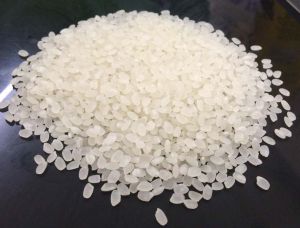 Japonica Rice