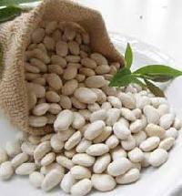 White Kidney Bean Extracts