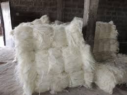 BEST QUALITY SISAL FIBER FROM KENYA