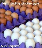 Egg Exports, Brown Eggs Supplier, Indian White Eggs Exporters, Farm Fresh Egg Exporters, Poultry Frams India, Chicken EGgs Supplier India