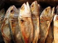 Dried Fish, Brand Name : Giant Export BD Ltd.