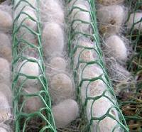 Sericulture Nets