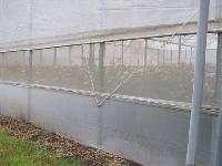 woven insect net for net and green house