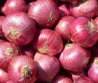 freshindian onions