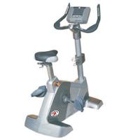 GH - 2015 Commercial Upright Bike