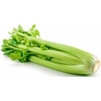 Fresh Celery