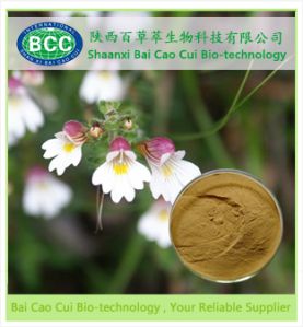 Eyebright Extract, Brand Name : BaoCaoCui, Grade : AAAAA