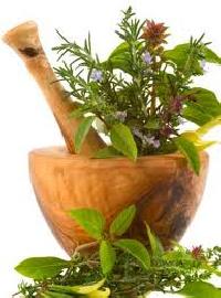 raw ayurvedic plants