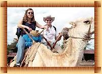 camel safari tour services