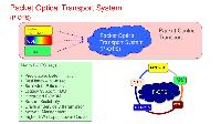 optical transport network management system